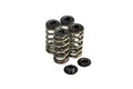 Dual Spring Kit