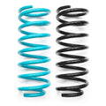 Rear Coil Springs