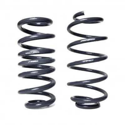 DX Suspension Lowering Springs