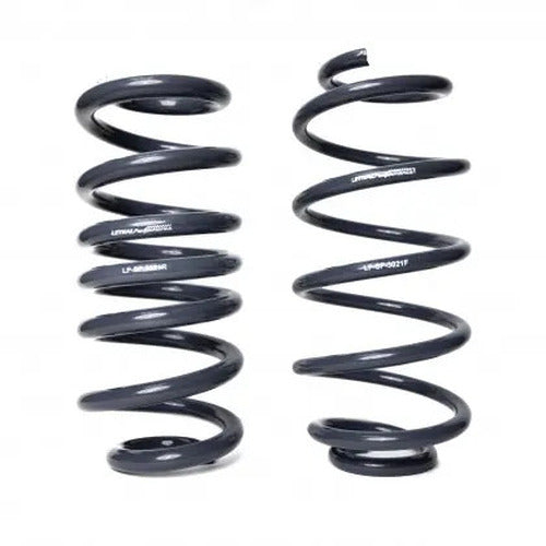 DX Suspension Lowering Springs
