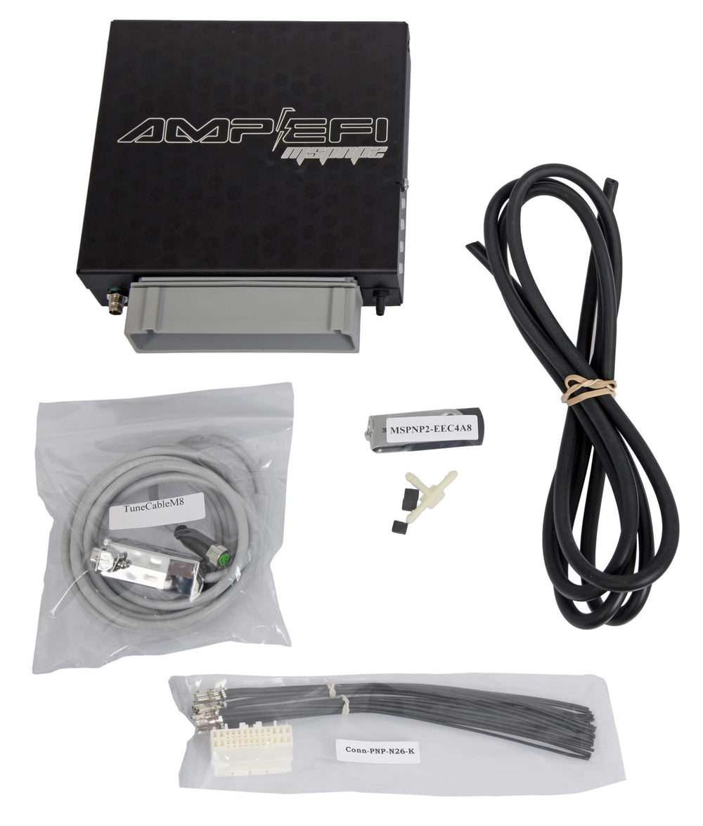 MSPNP2-EEC4A8 Engine Management System