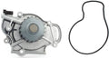 Engine Water Pump