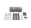 Platinum Dual Valve Spring Kit .660" Lift