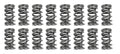 Platinum Dual Valve Spring Kit .660" Lift
