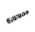 Hydraulic Roller Camshaft