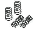 RS-R 93-02 Toyota Supra (JZA80) Ti2000 Down Springs