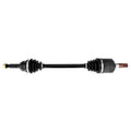 Rear Axle Assembly