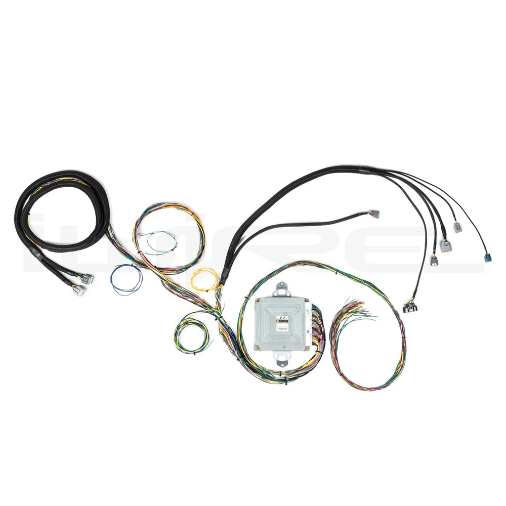 16-Bit Platform ECU to Engine Project Harness