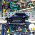 Rear Coil Springs