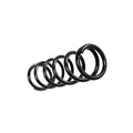 4.5-Inch Lift Coil Springs