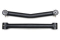 Rear Lower Fixed Control Arms