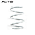 Lowering Springs