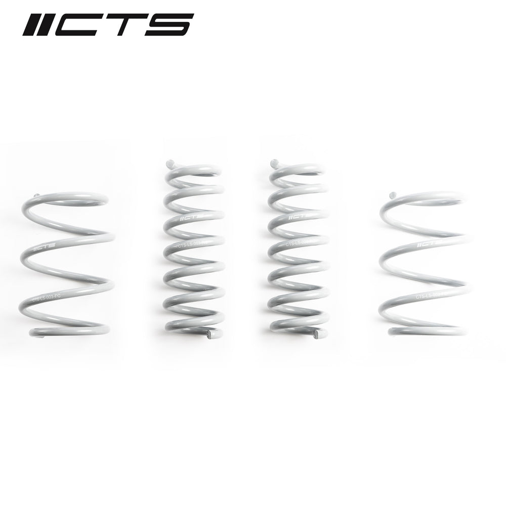 Lowering Springs