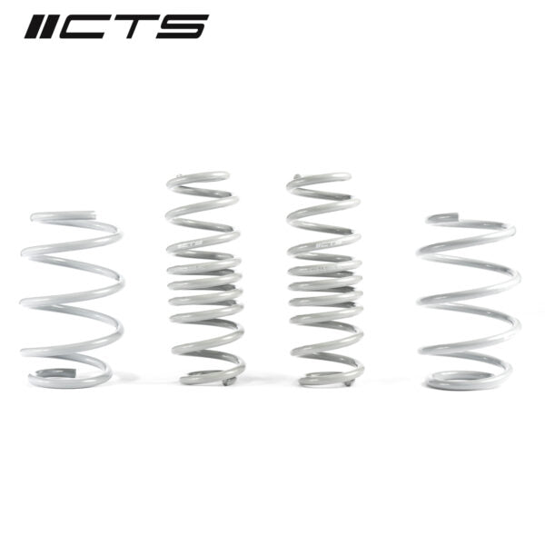 Lowering Springs