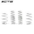 Lowering Springs