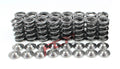 Supertech Valve Spring Set