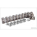 Supertech Dual Valve Spring Kit