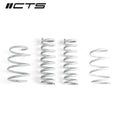 Lowering Springs BMW F30 F32 XDrive