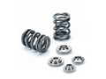 Valve Spring and Retainer Kit