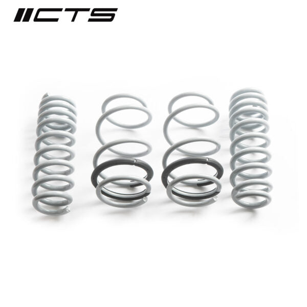 Lowering Springs