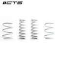 Lowering Springs