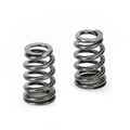 Beehive Valve Spring Kit
