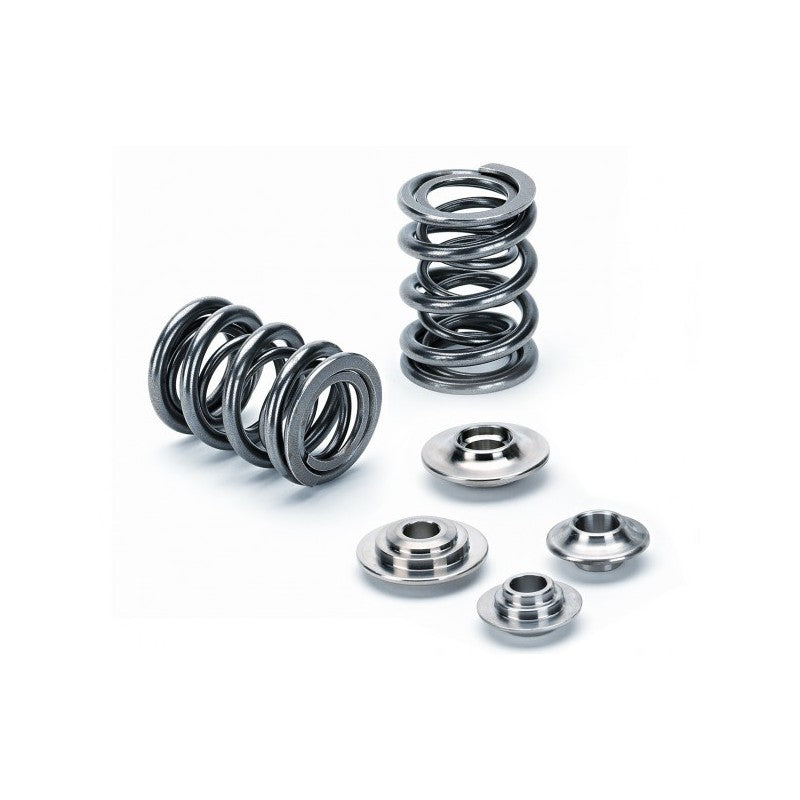 Valve Spring Set