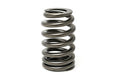 Beehive LS6 Single Valve Spring & Seal Kit