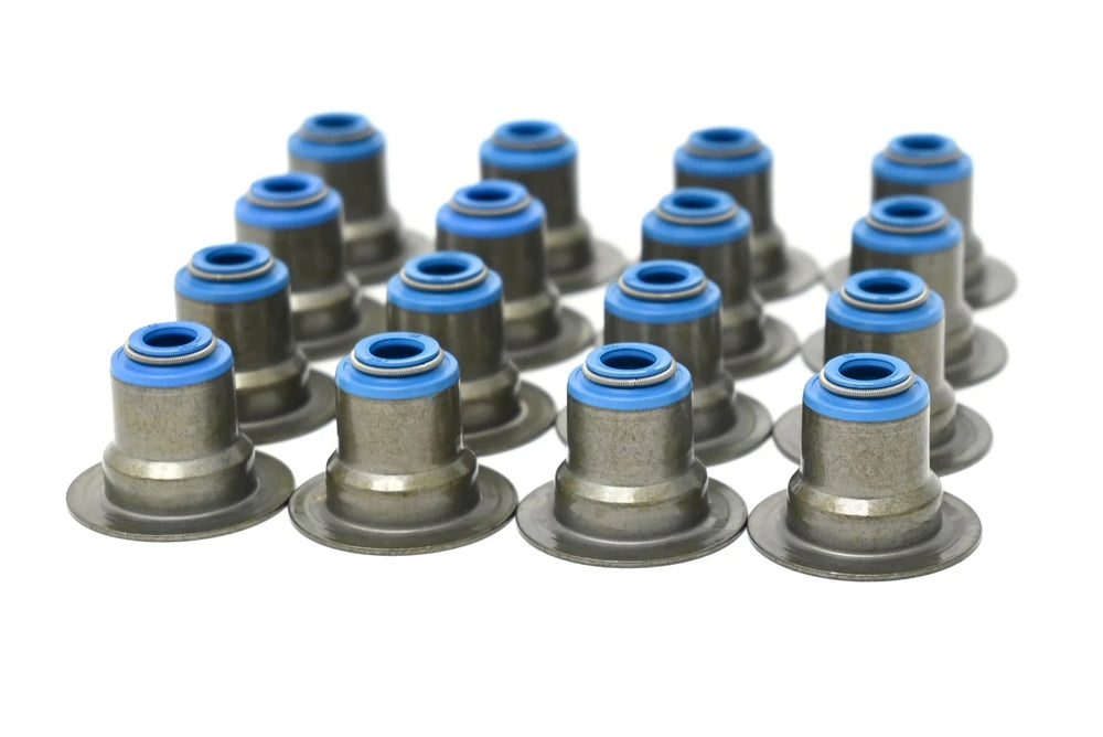 Beehive LS6 Single Valve Spring & Seal Kit