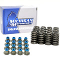 Beehive LS6 Single Valve Spring & Seal Kit