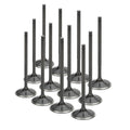 Supertech Audi/VW 1.8T 5V Black Nitrided Intake Valve - Set of 12