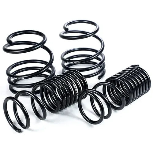 Spec-R Lowering Springs