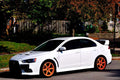 Spec-R Lowering Springs