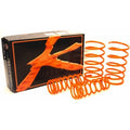 Progressive Rate Lowering Springs