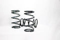 10" x 5" x 300 lb/in Coilover Spring