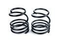 SPEC-R Sport Springs