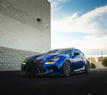 Spec-R Lowering Springs