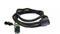 Vehicle Side Harness