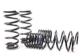 Lowering Springs