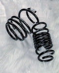 Spec-R Lowering Springs