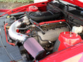 Radiator and Heater Hose Kit