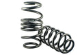 Lowering Springs