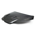 Type-RS Carbon Fiber Hood