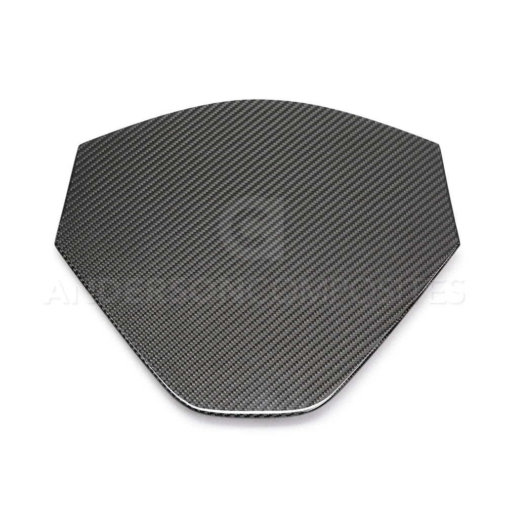 Carbon Fiber Rear Decklid Housing Panel