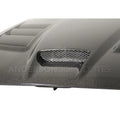Type-ACR Carbon Fiber Hood
