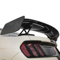 Type-TPW Carbon Fiber Track Pack Wing