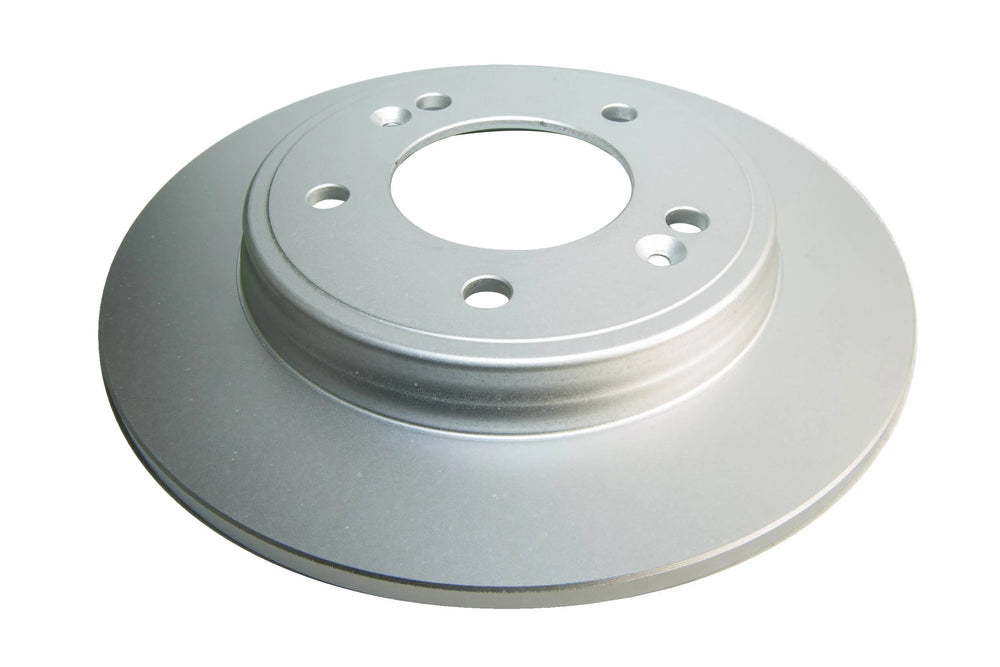 Rear Brake Rotor