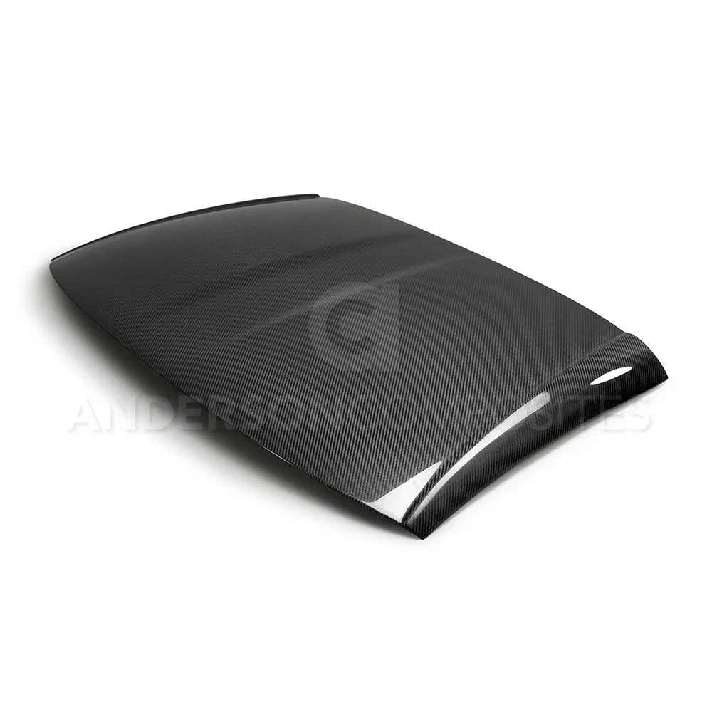 Carbon Fiber Roof Panel
