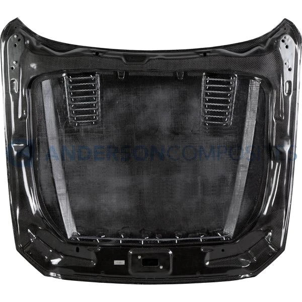 Type-SN Carbon Fiber Hood