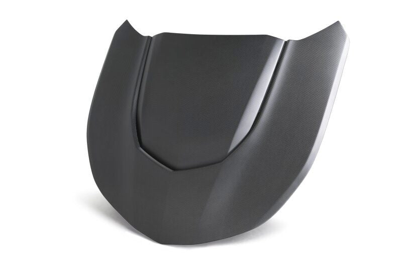 Type-OE Dry Carbon Fiber Hood
